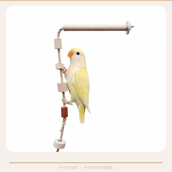 W602 鸚鵡籠內攀爬繩｜空降䌫繩 鸚鵡攀爬繩
鸚鵡娛樂用品
鸚鵡運動用品
天然棉繩鸚鵡攀爬繩
防咬鸚鵡攀爬繩
安全鸚鵡攀爬繩
易清潔鸚鵡攀爬繩
寵物鳥攀爬訓練用品
適合各種大小鸚鵡的攀爬繩
高品質鸚鵡攀爬繩