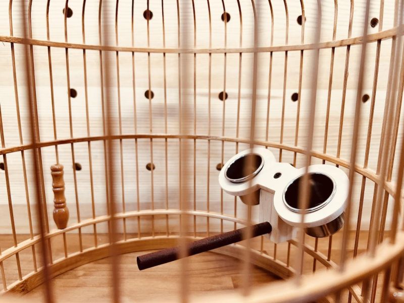 W353 圓籠寵物鳥食盒推薦 圓籠寵物鳥食盒、綠繡眼、小鸚鵡、不銹鋼食盒、寵物鳥用品、圓籠配件、鳥類飲食解決方案