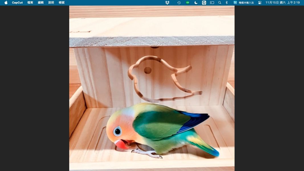 W468  多功能小型木屋 育雛老年與殘疾鳥寶的理想窩居設計 鳥屋木製鳥屋
小型鳥木屋寬口鳥窩文鳥鳥屋虎皮鸚鵡窩太平洋鸚鵡鳥巢愛情鳥鳥窩雙鳥同居鳥屋
通風鳥窩設計

全景視野鳥籠

安全感鳥屋

可鋪墊保暖鳥窩
加高圍牆鳥屋
防潑灑鳥食盆
無死角監測鳥巢