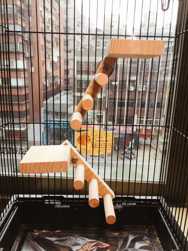 w718E 創意無限的雙向梯產品｜中型鸚鵡 鳥用梯子
小型鳥用梯子
鳥類攀爬梯
鳥籠玩具
天然竹製鳥用梯子
鳥類運動訓練用品
安全可靠鳥用梯子
易於安裝的鳥用梯子
適用於不同大小的鳥籠
高品質鳥用梯子