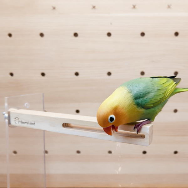 MY PET BIRD 鸚鵡專用快樂啃柱/盡情啃咬的最佳選擇 文鳥 小鸚 牡丹 白頭翁 麻雀 虎皮 太平洋 玄鳳 小太陽 金太陽 和尚 
鸚鵡玩具 寵物文創 鳥玩具