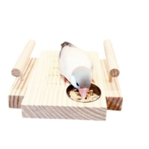 W799A 殘疾鳥專用刻紋站台｜提供穩固的平台和安全感 殘疾鳥
專用刻紋站台
刻紋站台
穩固平台
安全感
久站不穩鳥寶
防滑站台
紋路設計
特殊設計站台
照顧殘疾鳥寶