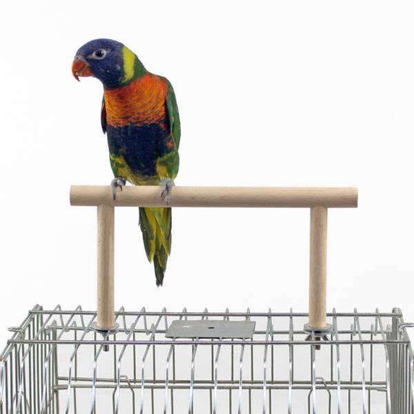 MY PET BIRD 籠頂櫸木站架 籠頂鳥站架：強調產品的特點和功能。
清潔鳥站架：突顯產品的方便清潔特性。
培養鳥類習慣：針對鳥類主人尋找訓練和培養鳥類良好習慣的人群。
便捷鳥站台：強調產品的方便性和使用便捷性。
鳥籠頂端設備：吸引對鳥類籠子頂部觀察和設備的人群。
清潔友好鳥站架：強調產品的清潔友好特性。
鳥類停歇習慣培養：針對鳥類主人尋找培養鳥類停歇習慣的人群。
飛行習慣訓練架：突顯產品有助於培養鳥類飛行習慣的訓練