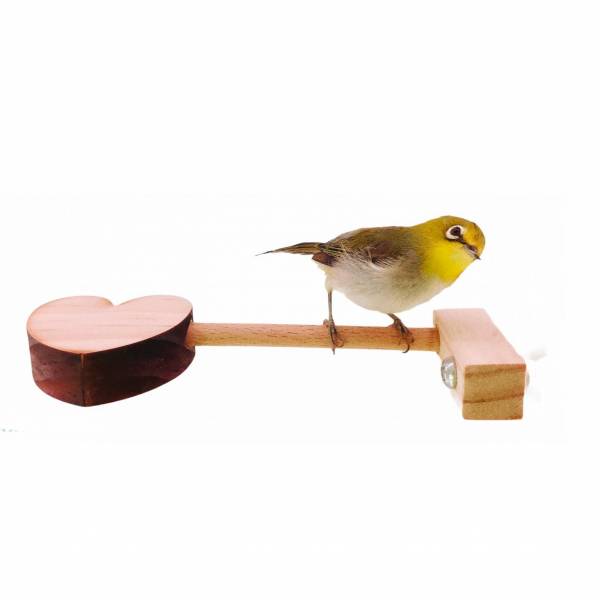 MY PET BIRD  迷你心形鳥用站台/可愛袖珍尺寸 鳥站台鸚鵡站台
鸚鵡活動台
鳥類休息台
寵物休息訓練架
可調節高度鳥類休息台
天然木鳥類站立架
無毒寵物訓練玩具
多功能鸚鵡訓練用品
適合鸚鵡休息和站立練習的玩具