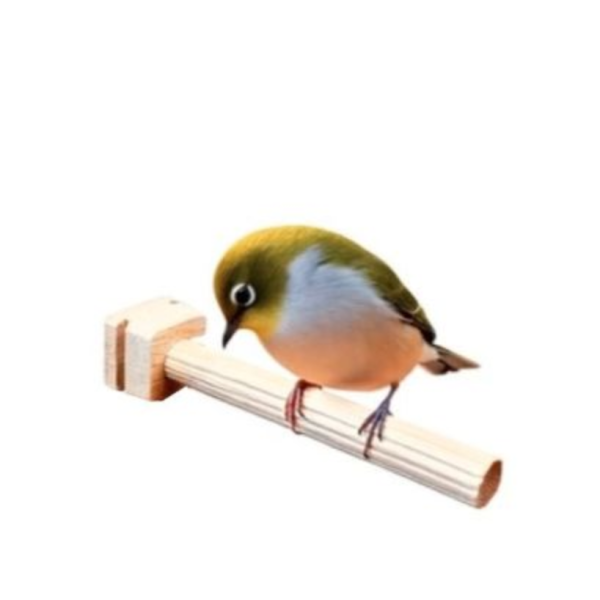 W867 綠繡眼專用睡桿｜迷你站棍 寵物文創,鳥玩具,鸚鵡玩具,文鳥,玄鳳,和尚,虎皮,綠繡眼,凱克,寵物用品,寵物玩具,咬物