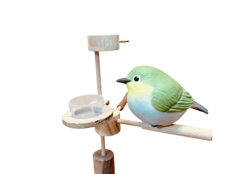 MY PET BIRD 綠繡眼站架 綠繡眼站台 bird perch stand
綠繡眼站架 Bird stand
綠繡眼站棍　Bird Perch
綠繡眼遊樂場 Bird Playground
綠繡眼鳥玩具 Parrot toys
綠繡眼鳥用品 bird products
綠繡眼攀爬繩 Climbing rope
綠繡眼梯子 ladder