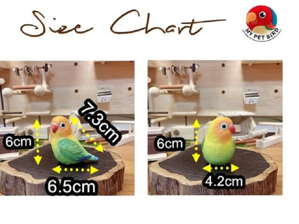 MY PET BIRD 大型鸚鵡特製站棍式木窩 鸚鵡小木屋 鳥窩 鳥巢