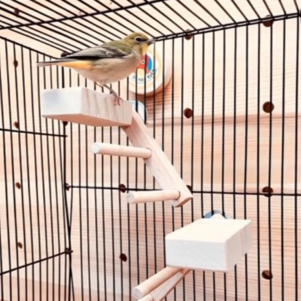 MY PET BIRD 提升綠繡眼鳥籠體驗！創意無限的雙向梯產品 鳥用梯子
小型鳥用梯子
鳥類攀爬梯
鳥籠玩具
天然竹製鳥用梯子
鳥類運動訓練用品
安全可靠鳥用梯子
易於安裝的鳥用梯子
適用於不同大小的鳥籠
高品質鳥用梯子