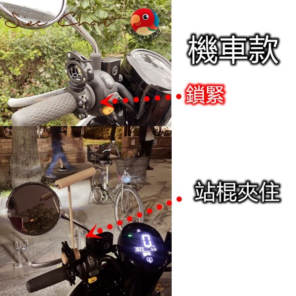 MY PET BIRD 珍木鸚鵡站架 /中型鸚鵡 鹦鹉站架
鹦鹉架
鹦鹉用品
鸟类用品
鸟类玩具
鸟类站架
宠物用品
宠物玩具
宠物训练用品
鹦鹉训练用品