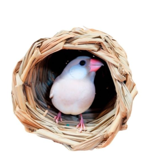 天然草窩 草編窩 鳥巢 /文鳥窩/無棉繩鳥窩 草窩
鸚鵡玩具 寵物文創 鳥玩具