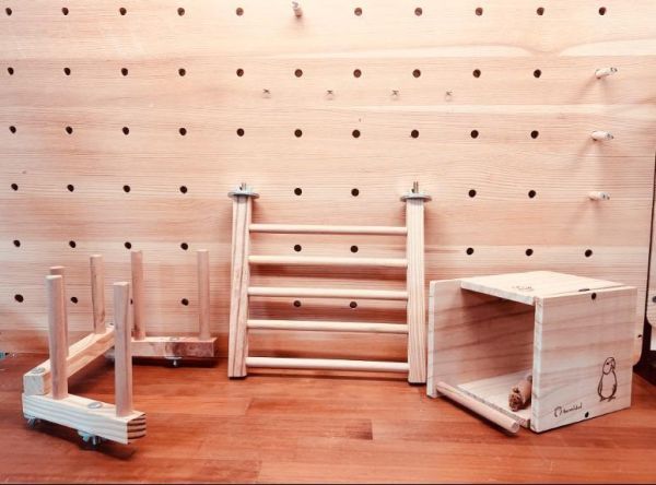 殘疾鳥社團-用品 