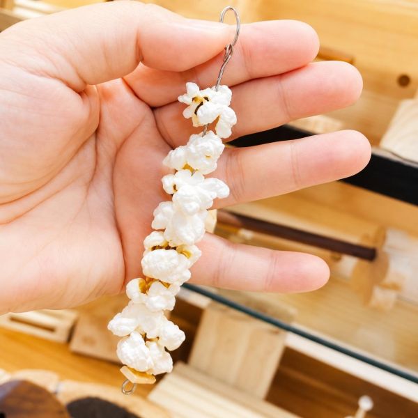 A002 爆米花咬串：鸚鵡最愛的啃咬玩具 鸚鵡
啃咬玩具
爆米花咬串
鸚鵡娛樂
食物玩具
鸚鵡智力刺激
營養豐富
鸚鵡行為訓練
DIY玩具製作
安全玩具
鸚鵡品種
飲食樂趣
玩具選擇指南
鸚鵡健康
自然與安全