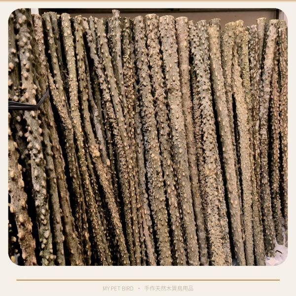 W808 小鸚鵡花椒木站棍 棲木 站棍、站架、棲木、磨爪 、木棍、木棒