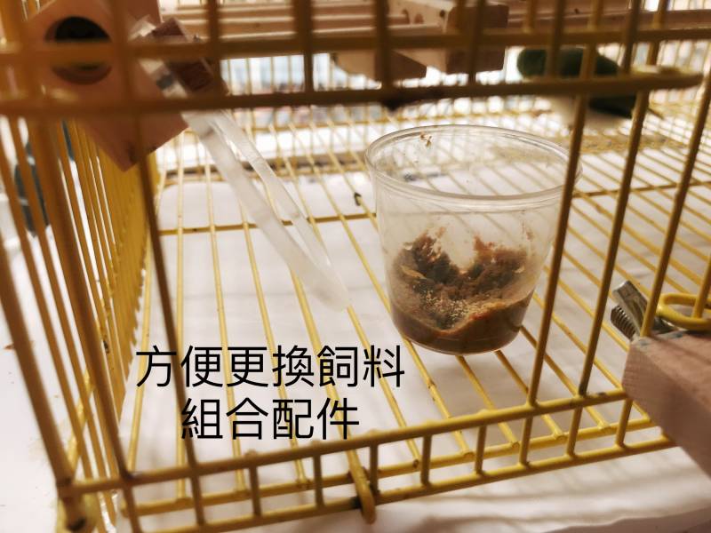 MY PET BIRD  無障礙鳥類食物盒／殘疾鳥食盒 殘疾鳥食盒
鳥類特殊食物盒
無障礙鳥食盒
殘疾鳥類飼料盒
特殊需求鳥食盒
鳥類餵食器具
鳥類食物存放盒
支援鳥類飼料盒
殘疾鳥用餵食器
容易使用的鳥類食盒