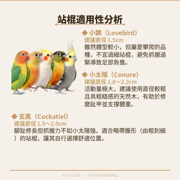 199免運 鸚鵡站台
鸚鵡活動台
鳥類休息台
寵物休息訓練架
可調節高度鳥類休息台
天然木鳥類站立架
無毒寵物訓練玩具
多功能鸚鵡訓練用品
適合鸚鵡休息和站立練習的玩具
