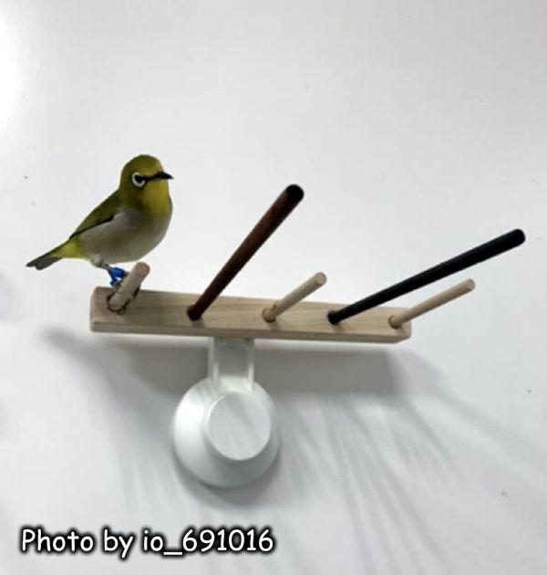 w739 綠繡眼吸盤式｜組合跳架 綠繡眼站台 bird perch stand
綠繡眼站架 Bird stand
綠繡眼站棍　Bird Perch
綠繡眼遊樂場 Bird Playground
綠繡眼鳥玩具 Parrot toys
綠繡眼鳥用品 bird products
綠繡眼攀爬繩 Climbing rope
綠繡眼梯子 ladder