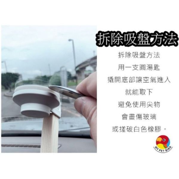 W803B 車用站架 寵物鳥用 吸盤式鳥站棍
鳥類活動站棍
吸盤式鳥類觀察器材
室內鳥類站棍
室外鳥類站棍
適用於鳥類的吸盤站棍