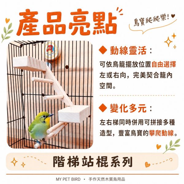 W756 提升綠繡眼鳥籠體驗！創意無限的雙向梯產品 綠繡眼雙向梯,綠繡眼玩具,綠繡眼站架,小型鳥階梯,鳥用攀爬梯,綠繡眼籠內配件,文鳥階梯,MY PET BIRD