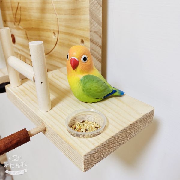 MY PET BIRD 壁掛式鸚鵡遊樂場 壁掛式鸚鵡遊樂場
鸚鵡壁掛式娛樂空間
多功能壁掛鸚鵡遊戲台
鸚鵡壁掛式爬行設施
節省空間的壁掛鸚鵡遊樂設備
壁掛式鸚鵡咬物和休息場所
安全耐用的壁掛式鸚鵡遊樂場
鸚鵡壁掛式娛樂設施
美觀實用的壁掛鸚鵡遊樂器具
高品質壁掛式鸚鵡遊戲設備