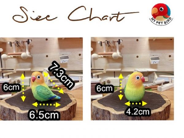 MY PET BIRD 中型鸚鵡桌上型便攜站架 文鳥 小鸚 牡丹 白頭翁 麻雀 虎皮 太平洋 玄鳳 小太陽 金太陽 和尚 
鸚鵡玩具 寵物文創 鳥玩具