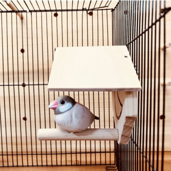 MY PET BIRD 涼亭小木屋｜綠繡眼　文鳥 綠繡眼、小木屋、紫光檀、時尚簡約、設計、站棍、清潔、舒適、棲息環境