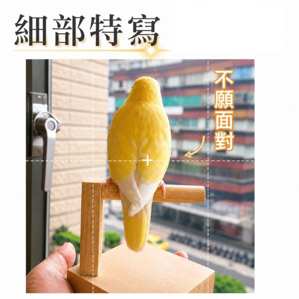 W392 輕便站台 鸚鵡站台
鸚鵡活動台
鳥類休息台
寵物休息訓練架
可調節高度鳥類休息台
天然木鳥類站立架
無毒寵物訓練玩具
多功能鸚鵡訓練用品
適合鸚鵡休息和站立練習的玩具