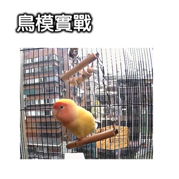 W532 多功能鞍木金屬環鞦韆 鞍木金屬環鞦韆、鳥類玩樂、多功能鞦韆、攀爬與搖擺、咬物娛樂、體力鍛練、耐用品質、小型鳥類、中型鸚鵡、健康玩耍。