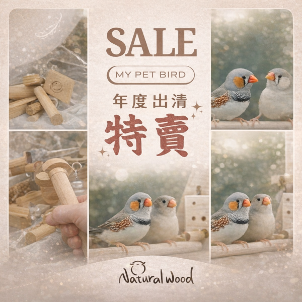 特賣會-樣品－展示品出清 