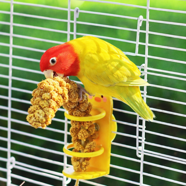 Z073A  萌趣小鴨鸚鵡谷穗架 |  站立式防掉落餵食架 鳥類果蔬籃
鳥兒食物供應籃
鳥類水果蔬菜器皿
新鮮食物籃子
鳥類營養補充器
鳥用食物盛放器
天然鳥類飲食工具
健康鳥類食物籃
方便鳥類飲食器具
鳥類食物分配容器