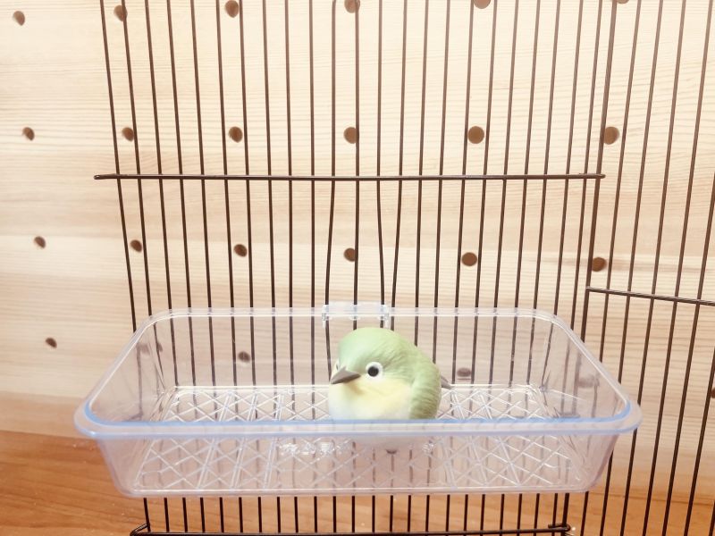 MY PET BIRD 綠繡眼專用籠內外掛式小澡盆 鳥寵塑料小澡盆
優質塑料鳥澡盆
高品質鳥用塑料澡盆
鳥類洗澡用品
鳥寵衛生洗澡盆
防污染鳥澡盆
安全塑料小澡盆
耐用鳥用澡盆
鳥寵洗澡器具
簡單清潔塑料鳥澡盆