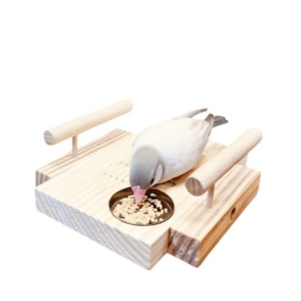 W799A 殘疾鳥專用刻紋站台｜提供穩固的平台和安全感 殘疾鳥
專用刻紋站台
刻紋站台
穩固平台
安全感
久站不穩鳥寶
防滑站台
紋路設計
特殊設計站台
照顧殘疾鳥寶