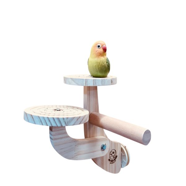 W791鸚鵡二階梯站台 立體攀爬解悶玩具 鸚鵡站台
鸚鵡活動台
鳥類休息台
寵物休息訓練架
可調節高度鳥類休息台
天然木鳥類站立架
無毒寵物訓練玩具
多功能鸚鵡訓練用品
適合鸚鵡休息和站立練習的玩具