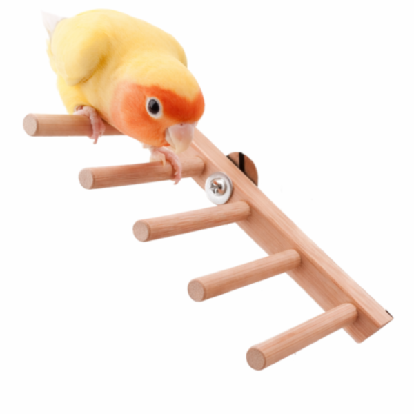 W601 鸚鵡竹梯  鳥用攀爬梯  天然原竹 鳥用梯子
小型鳥用梯子
鳥類攀爬梯
鳥籠玩具
天然竹製鳥用梯子
鳥類運動訓練用品
安全可靠鳥用梯子
易於安裝的鳥用梯子
適用於不同大小的鳥籠
高品質鳥用梯子