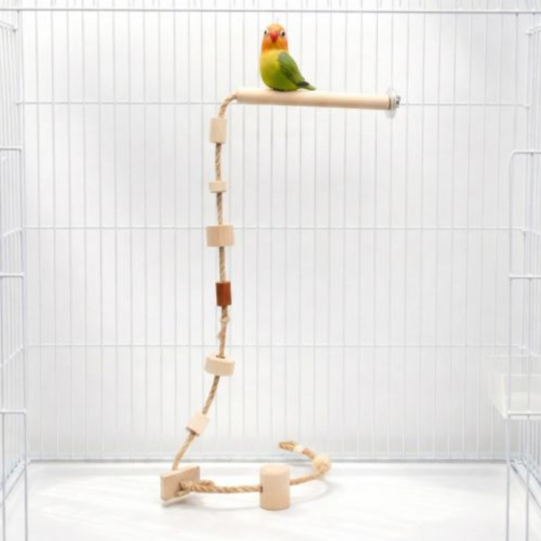 W602 鸚鵡籠內攀爬繩｜空降䌫繩 鸚鵡攀爬繩
鸚鵡娛樂用品
鸚鵡運動用品
天然棉繩鸚鵡攀爬繩
防咬鸚鵡攀爬繩
安全鸚鵡攀爬繩
易清潔鸚鵡攀爬繩
寵物鳥攀爬訓練用品
適合各種大小鸚鵡的攀爬繩
高品質鸚鵡攀爬繩