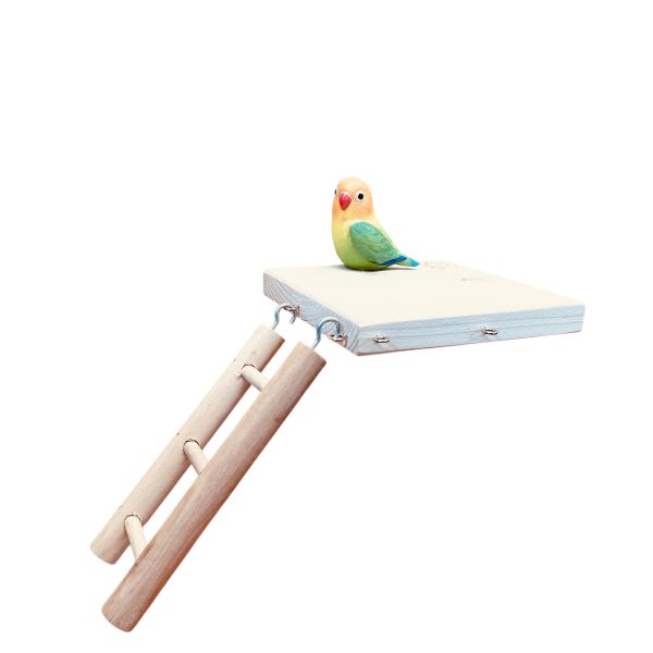 W612  多功能實木平台 + 互動攀爬梯 鳥用梯子
小型鳥用梯子
鳥類攀爬梯
鳥籠玩具
天然竹製鳥用梯子
鳥類運動訓練用品
安全可靠鳥用梯子
易於安裝的鳥用梯子
適用於不同大小的鳥籠
高品質鳥用梯子