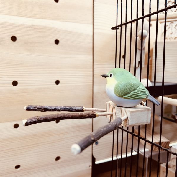 MY PET BIRD 三叉綠繡眼原生木站棍 綠繡眼站台 bird perch stand
綠繡眼站架 Bird stand
綠繡眼站棍　Bird Perch
綠繡眼遊樂場 Bird Playground
綠繡眼鳥玩具 Parrot toys
綠繡眼鳥用品 bird products
綠繡眼攀爬繩 Climbing rope
綠繡眼梯子 ladder
