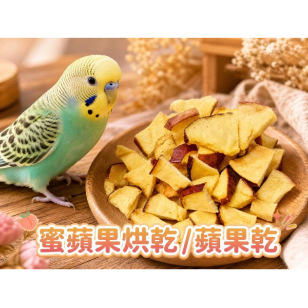 MY PET BIRD 小鸚鵡辣椒乾|迷你果乾 文鳥 小鸚 牡丹 白頭翁 麻雀 虎皮 太平洋 玄鳳 小太陽 金太陽 和尚 
鸚鵡玩具 寵物文創 鳥玩具