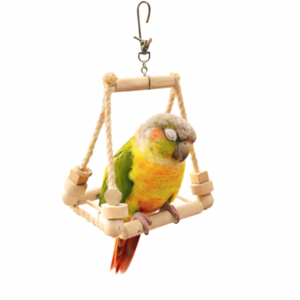 W538 3D立體四向鳥鞦韆｜穩定支架不翻倒、加壓運動必備 鳥用鞦韆
小鸚鵡鞦韆
3D立體造型鞦韆
方形支架座鞦韆
鳥類遊戲玩具
鳥類運動器材
室內外適用鳥類鞦韆
容易清洗鳥用鞦韆
鳥類健康促進器材
鳥類樂趣遊戲器材