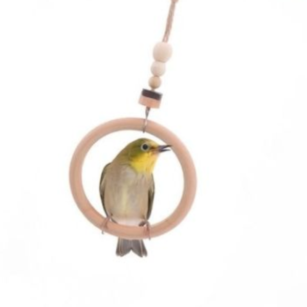 W505 精致設計的綠繡眼小型鞦韆 綠繡眼迷你鞦韆：提供綠繡眼鸚鵡的娛樂和鍛煉
精致設計的綠繡眼小型鞦韆：豐富您的寵物鳥的生活
綠繡眼鞦韆玩具：提供活動和娛樂的理想選擇
適合綠繡眼的迷你鞦韆：加強鳥類的體力和活力
綠繡眼專用迷你鞦韆：豪華設計帶來樂趣和舒適