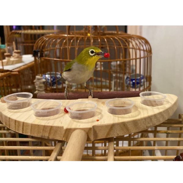 MY PET BIRD 5食盒綠繡眼食物架 鳥類食盒：吸引尋找鳥類食物配件的人群。
便捷分裝食盒：突顯產品方便的食物分裝功能。
多元飲食選擇：強調產品提供多樣化的飲食選擇。
6ml小容量食盒：突顯產品的小巧可愛特點和容量。
節省食物浪費：針對關心食物浪費的人群。
延伸站棍：強調產品附帶的延伸站棍設計。
鳥類活動空間：針對追求為鳥類提供更大活動空間的人群。
鳥類飲食配件：吸引對鳥類飲食配件的潛在客戶。
美觀小巧食盒：強調產品的