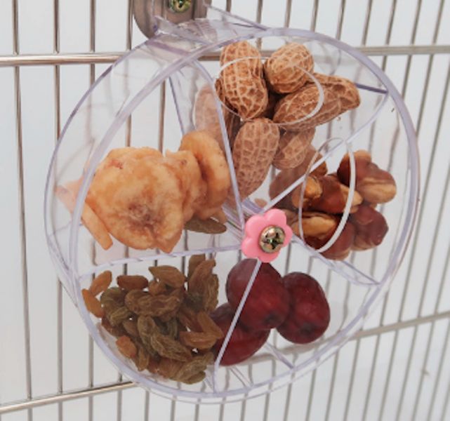 MY PET BIRD 覓食玩具/中型鸚鵡 中型鳥站台
覓食設計座
鳥類固定座
鳥寶玩耍站立
合固定座工具
鳥類玩具
穩固站立平台
適合中型鳥的座台
鳥類活動站點
遊戲娛樂鳥座