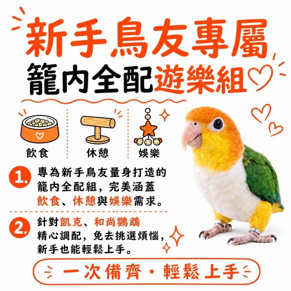 Z106 凱克和尚遊樂組 鸚鵡用品,玄鳳站台,鳥寶玩具,鸚鵡餐台,胡桃木站棍,鸚鵡盪鞦韆,MY PET BIRD