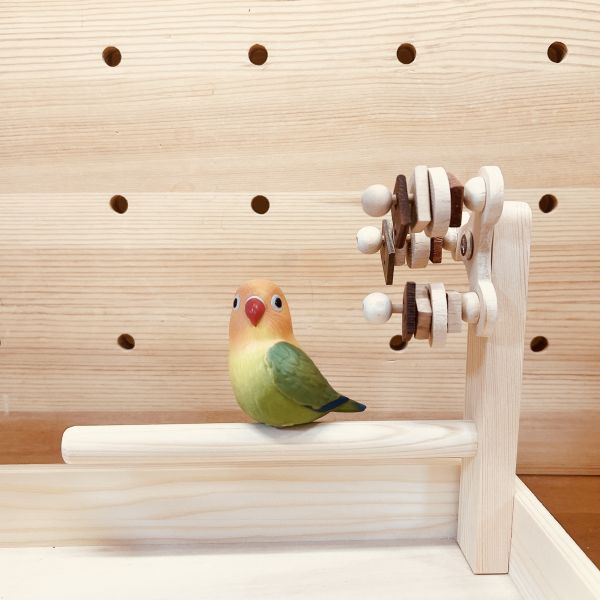 w391 啾啾遊樂園 |多功能鸚鵡嬉戲站 | 玩耍 覓食 理毛 一站滿足 小鸚鵡國民站架
輕便可攜性站架
不同尺寸站棍
小鸚鵡站架
輕量站台
便攜式站具
鳥類站架選擇
寵物站架
小鸚鵡用具