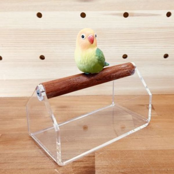 MY PET BIRD 珍木鸚鵡站架 /中型鸚鵡 鹦鹉站架
鹦鹉架
鹦鹉用品
鸟类用品
鸟类玩具
鸟类站架
宠物用品
宠物玩具
宠物训练用品
鹦鹉训练用品