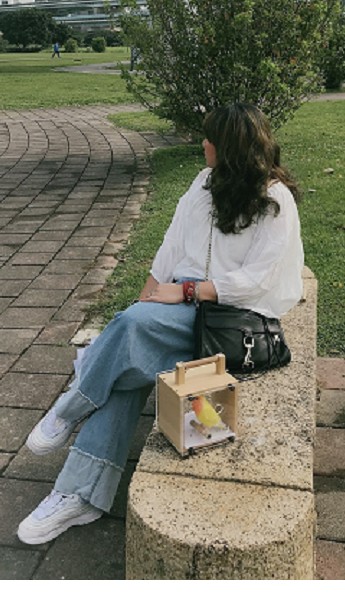 w498C　迷你外出精品 寵物外出籠
小型寵物籠
南洋檜木外出盒
寵物運輸籠
短程外出籠
就醫運送籠
養老照顧籠
便攜寵物籠
美觀寵物盒
耐用寵物籠
健康舒適寵物盒
經典款式寵物籠
高品質寵物外出籠
環保寵物籠
造型精美寵物盒
旅行必備寵物籠
小巧好提寵物盒
安全可靠寵物籠
美觀質感寵物盒
專為小型寵物設計的外出籠