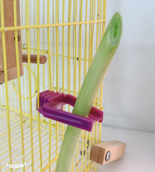 MY PET BIRD 寵物用菜夾 寵物菜夾
寵物食物夾子
寵物飼料夾
多功能寵物菜夾
耐熱寵物食物夾
方便寵物餵食工具
寵物用餐夾
安全寵物食物夾
長柄寵物菜夾
食物夾子適用於寵物