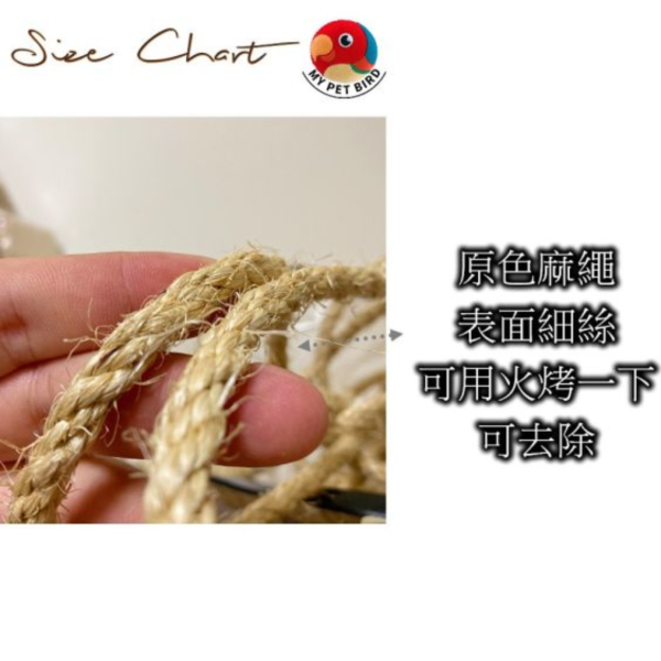 W506 粗麻繩一體成型鳥鞦韆 鳥用鞦韆
小鸚鵡鞦韆
3D立體造型鞦韆
方形支架座鞦韆
鳥類遊戲玩具
鳥類運動器材
室內外適用鳥類鞦韆
容易清洗鳥用鞦韆
鳥類健康促進器材
鳥類樂趣遊戲器材