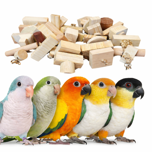 VB超強破壞王消耗組/鸚鵡啃咬玩具 文鳥 小鸚 牡丹 白頭翁 麻雀 虎皮 太平洋 玄鳳 小太陽 金太陽 和尚 
鸚鵡玩具 寵物文創 鳥玩具