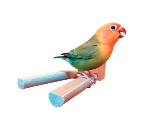 w809c 半圈磨爪延伸站棍 鳥用磨爪站棍
鳥類爪磨石
鳥類磨爪玩具
鳥用爪磨設備
鳥類爪磨訓練工具
鳥類磨爪棒
鳥類爪磨架
鳥爪保健產品
鳥類磨爪支架
鳥類爪磨棒