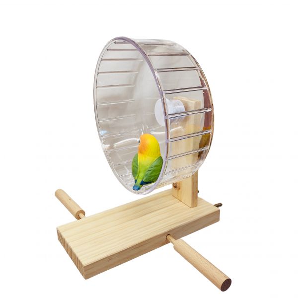 MY PET BIRD 鸚鵡跑輪 /寵物鳥運動器材 鸚鵡跑輪
寵物鳥跑輪
寵物鸚鵡運動設施
MY PET BIRD跑輪
鳥類運動器材
鳥類健康玩具
鳥類運動樂趣
鳥類休閒設施
鳥類活動站台
鸚鵡運動娛樂